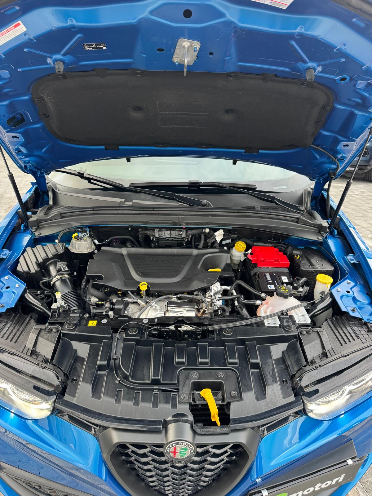 f5f96d1c-9eba-4afa-a5a6-e623e9555221